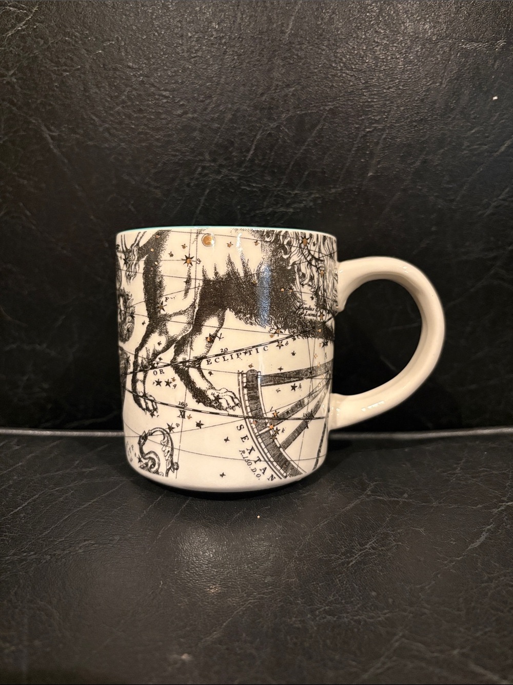 Salt & Earth Anthropologie Astrology Virgo Mug